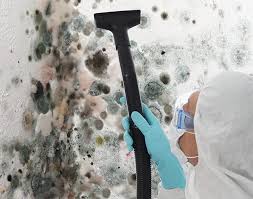 Best Environmental Consulting for Mold Prevention  in Standish, MI